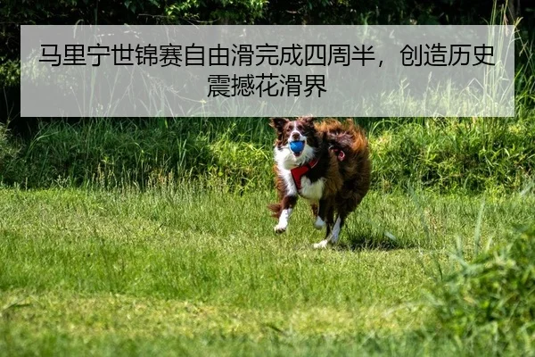 马里宁世锦赛自由滑完成四周半，创造历史震撼花滑界